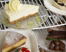 Bay Ridge - 4 Star Guest Accommodation